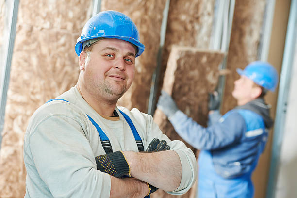 Best Insulation Installation Services in Luxemburg, WI